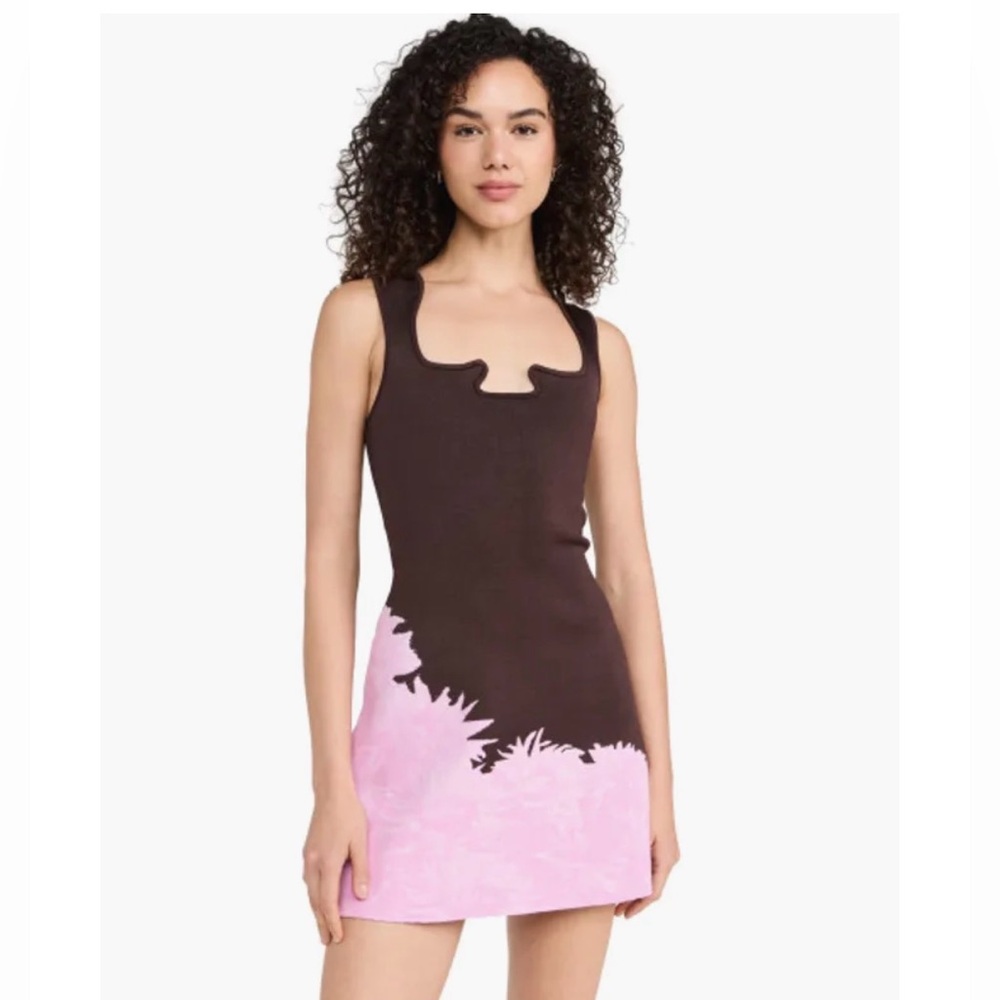 PH5 Brown and Pink Mini Dress